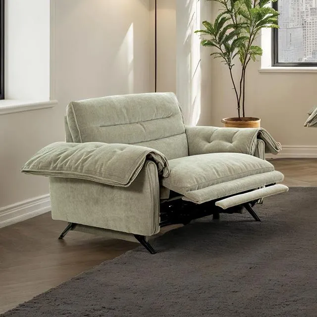 Furniture of America Morley CM9943TP-CH-PM Power Recliner