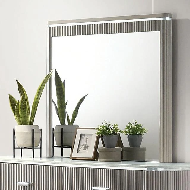 Furniture of America Aldridge FM7243GY-M Mirror