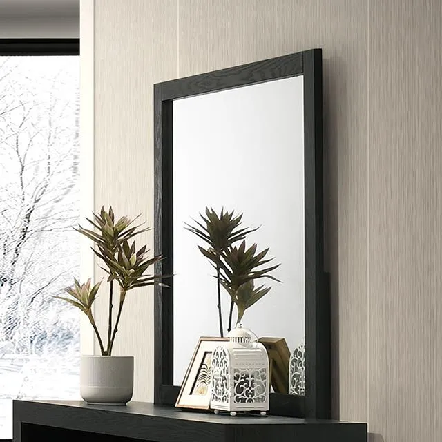 Furniture of America Altimari FM72026BK-M Mirror