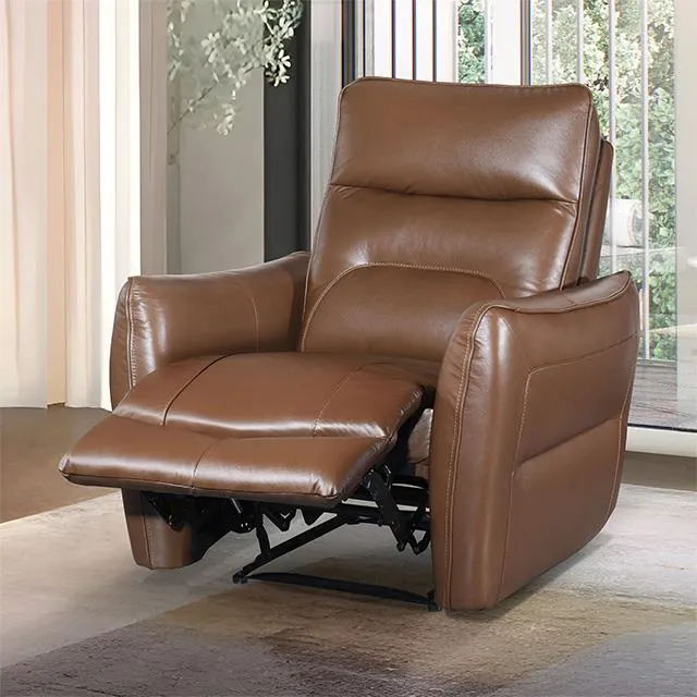 Furniture of America Terentius FM69006BR-CH-PM Power Recliner