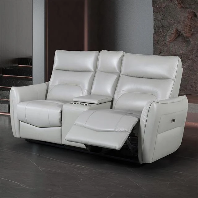 Furniture of America Terentius FM69006TP-LV-PM Power Loveseat