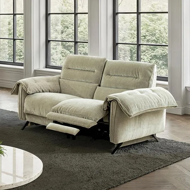 Furniture of America Morley CM9943TP-LV-PM-PK Power Loveseat