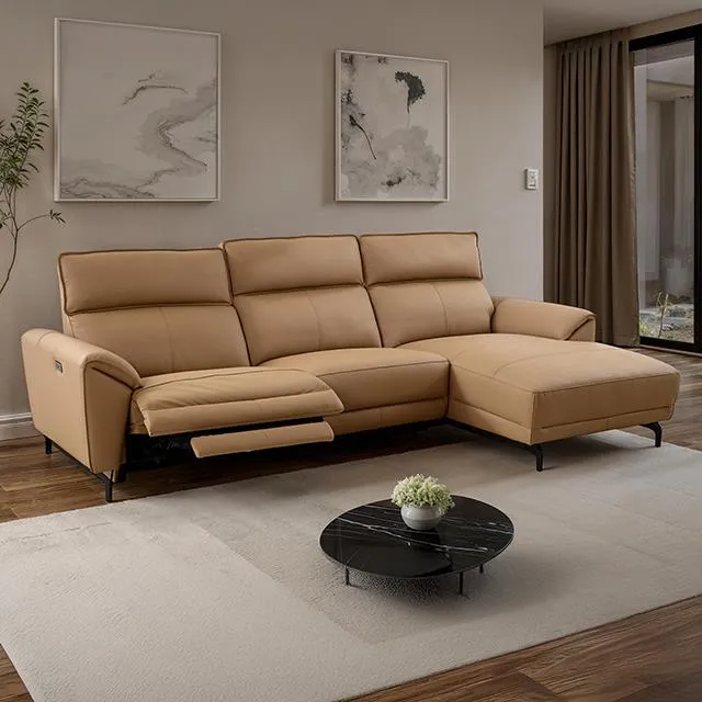 Furniture of America Theola CM9937LB-SECT-PM-R Power Sectional