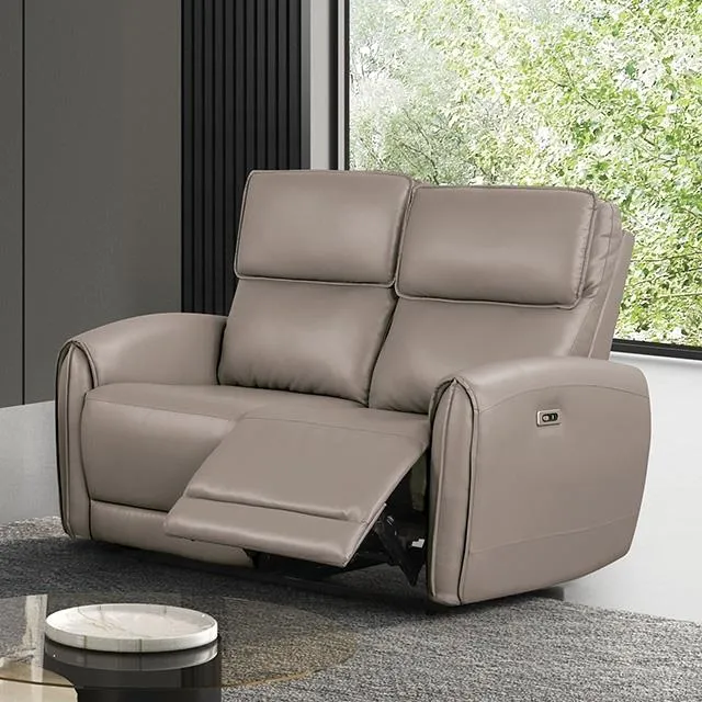 Furniture of America Schlieren FM6012LB-LV-PM Power Loveseat