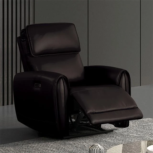 Furniture of America Schlieren FM6012BK-CH-PM Power Recliner