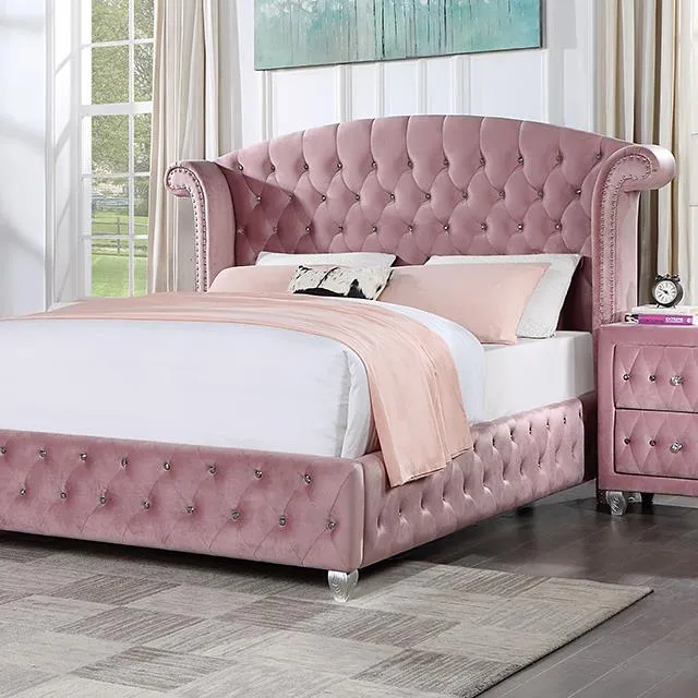 Furniture of America Zohar CM7130PK-Q Queen Bed