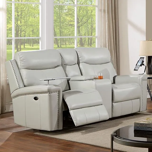 Furniture of America Florine CM6252LG-LV-PM Power Loveseat