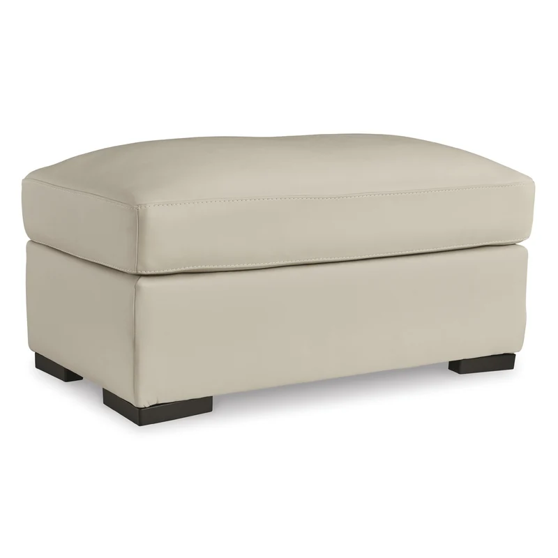 Signature Design by Ashley Treasure Trove 1930414 Ottoman