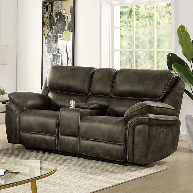 Furniture of America Tredegar CM6083-LV-PM Power Loveseat