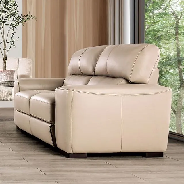 Furniture of America Marsicano FM90005TP-LV Loveseat