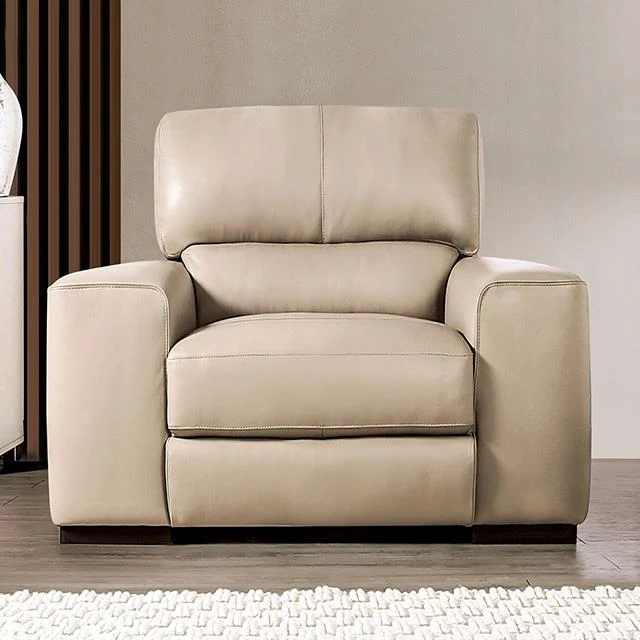 Furniture of America Marsicano FM90005TP-CH Chair