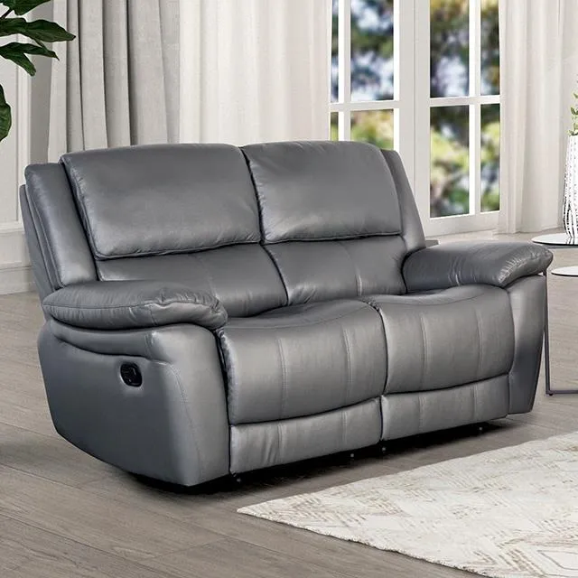 Furniture of America Glarus FM69003DG-LV-M Loveseat Manual Recliner
