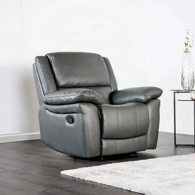 Furniture of America Glarus FM69003DG-CH-M Recliner Chair