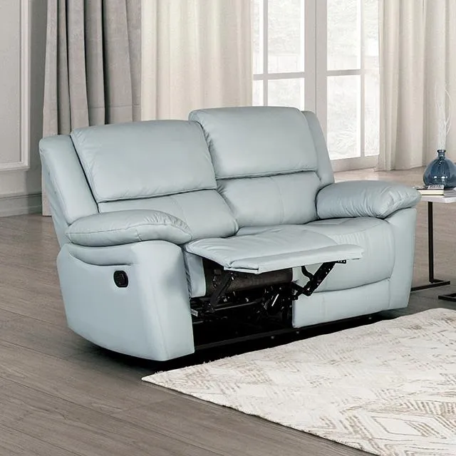 Furniture of America Glarus FM69003BL-LV-M Loveseat Manual Recliner