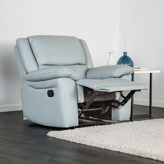 Furniture of America Glarus FM69003BL-CH-M Recliner Chair