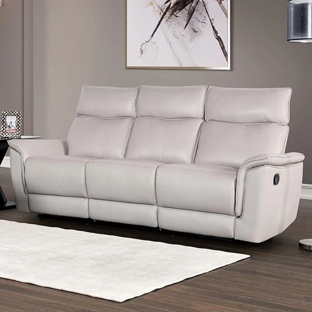 Furniture of America Bienne FM69002TP-SF-M Sofa Manual Recliner