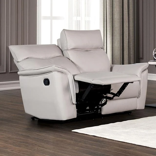Furniture of America Bienne FM69002TP-LV-M Loveseat Manual Recliner