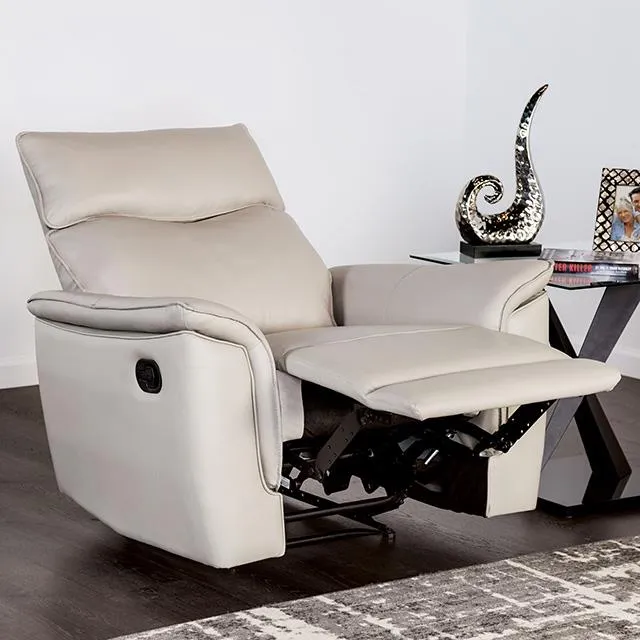 Furniture of America Bienne FM69002TP-CH-M Recliner Chair