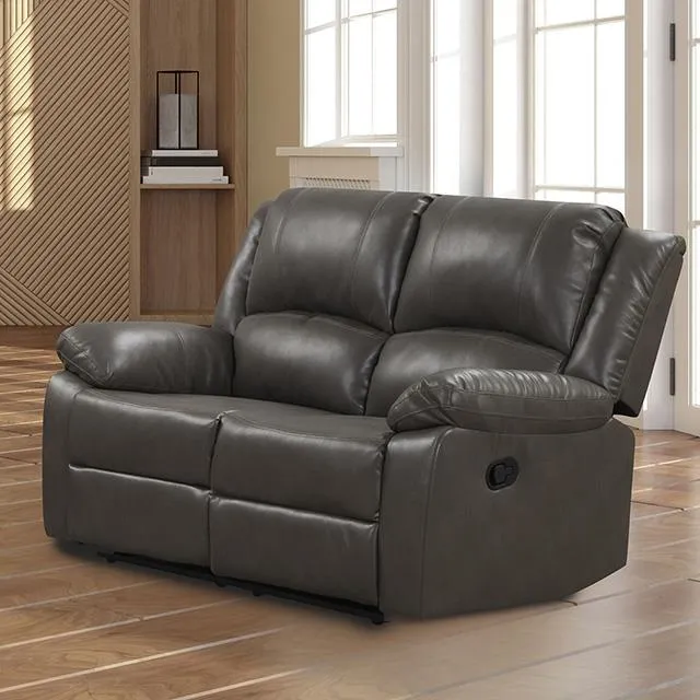 Furniture of America Letha NX6008GY-LV Manual Loveseat