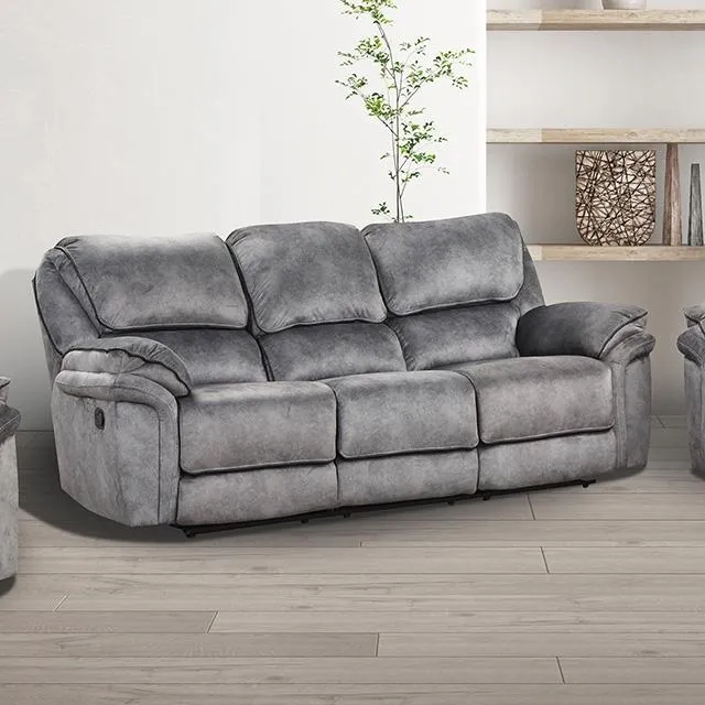 Furniture of America Themis NX6002GY-SF Manual Sofa