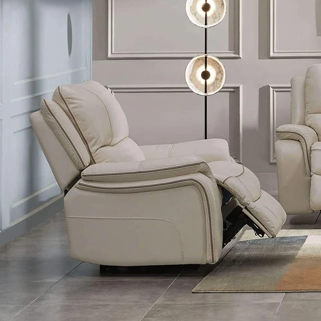 Furniture of America Henricus CM9911BG-CH Glider Recliner