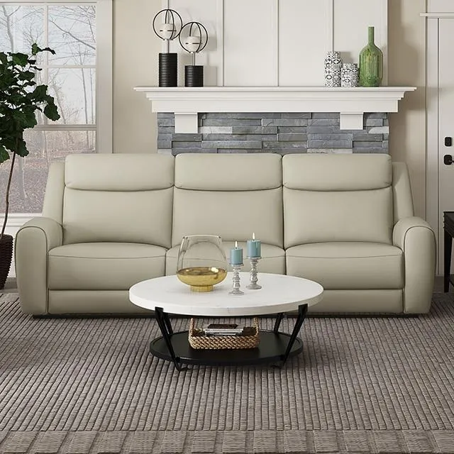 Furniture of America Jacobus CM9986BG-SF-M Manual Recliner Sofa