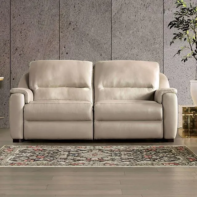 Furniture of America Altamura FM90002TP-LV-PM-PK Power Loveseat