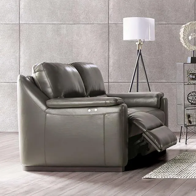 Furniture of America Altamura FM90002GY-LV-PM-PK Power Loveseat