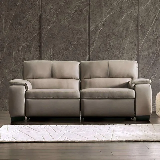 Furniture of America Balderico FM90001TP-SF-PM-PK Power Sofa