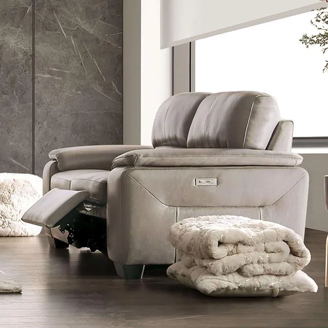 Furniture of America Balderico FM90001TP-LV-PM-PK Power Loveseat